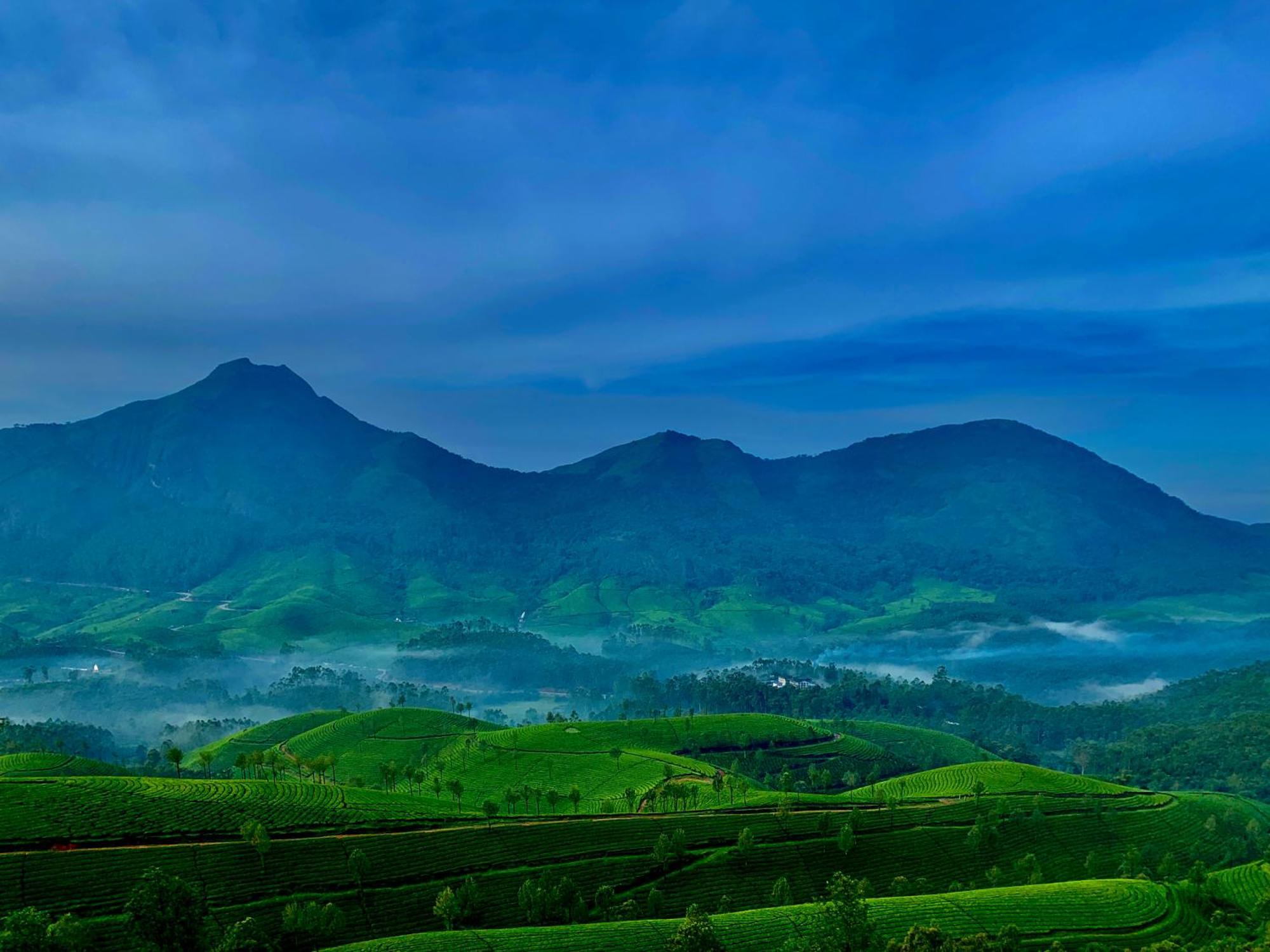 Lockhart Bungalow Munnar - A Cgh Earth Saha Experience Εξωτερικό φωτογραφία