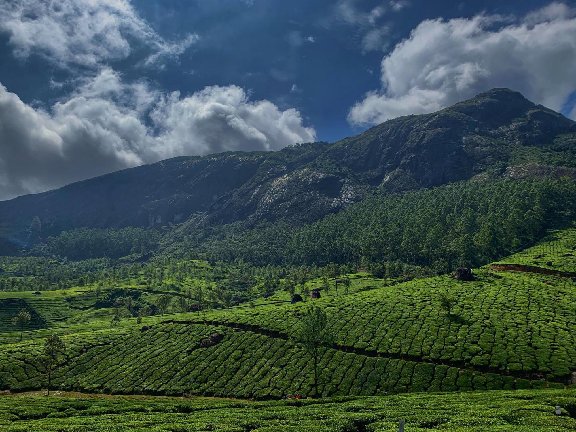 Lockhart Bungalow Munnar - A Cgh Earth Saha Experience Εξωτερικό φωτογραφία