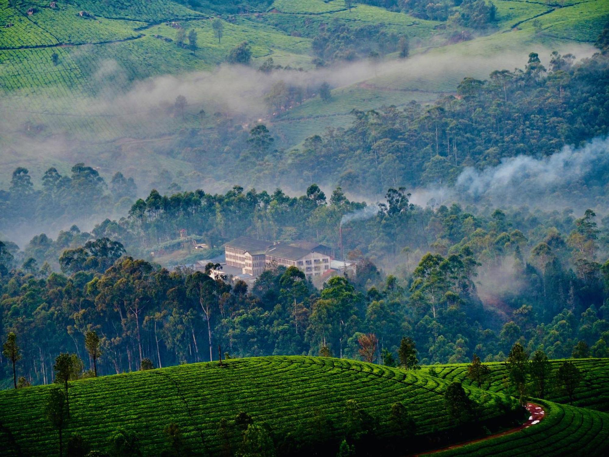 Lockhart Bungalow Munnar - A Cgh Earth Saha Experience Εξωτερικό φωτογραφία