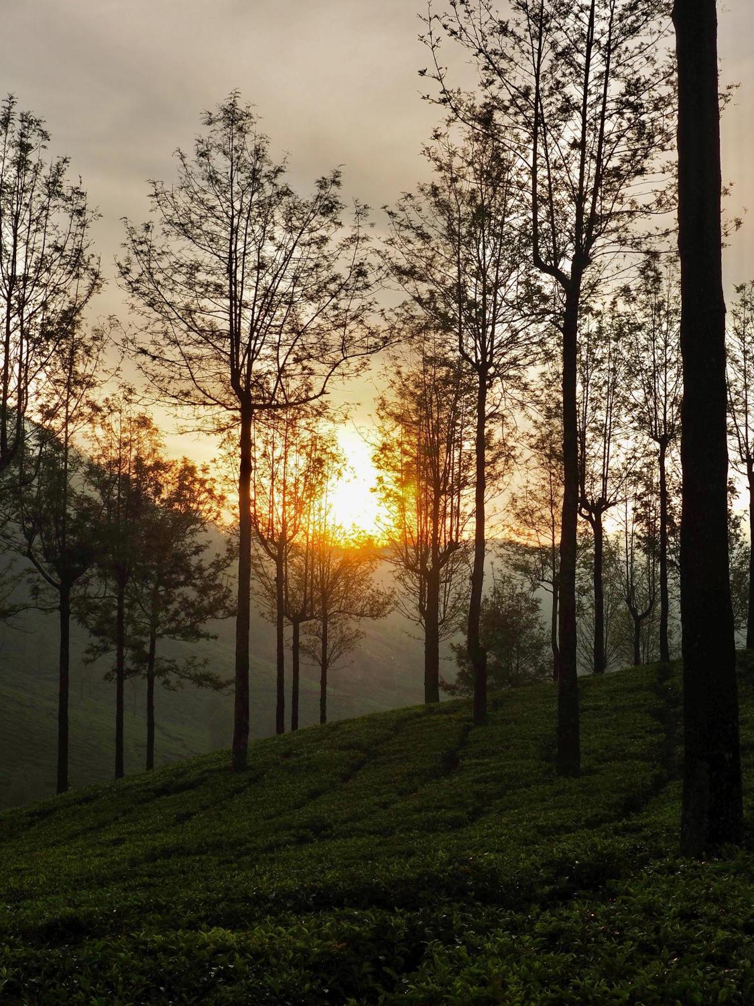 Lockhart Bungalow Munnar - A Cgh Earth Saha Experience Εξωτερικό φωτογραφία