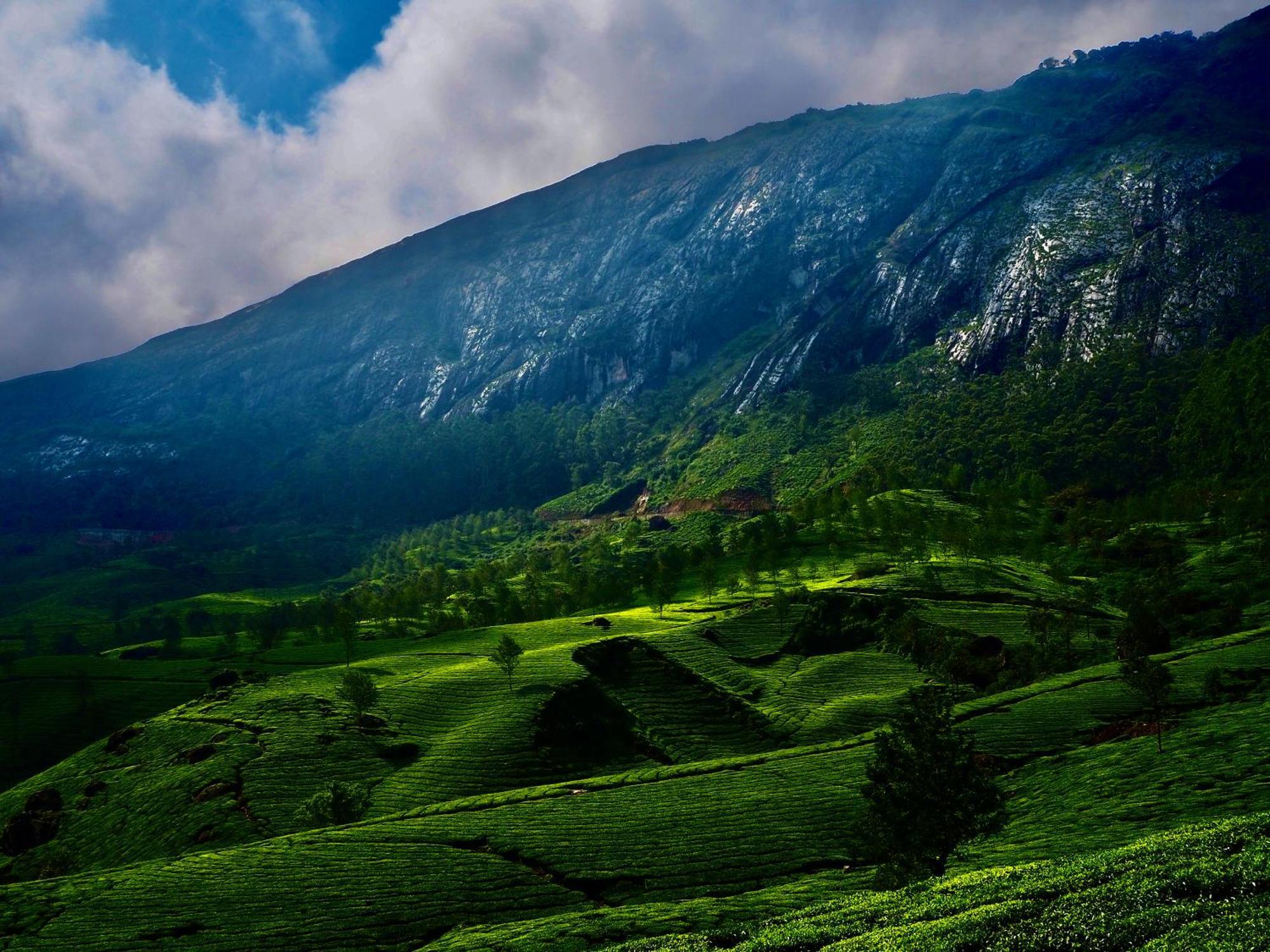 Lockhart Bungalow Munnar - A Cgh Earth Saha Experience Εξωτερικό φωτογραφία